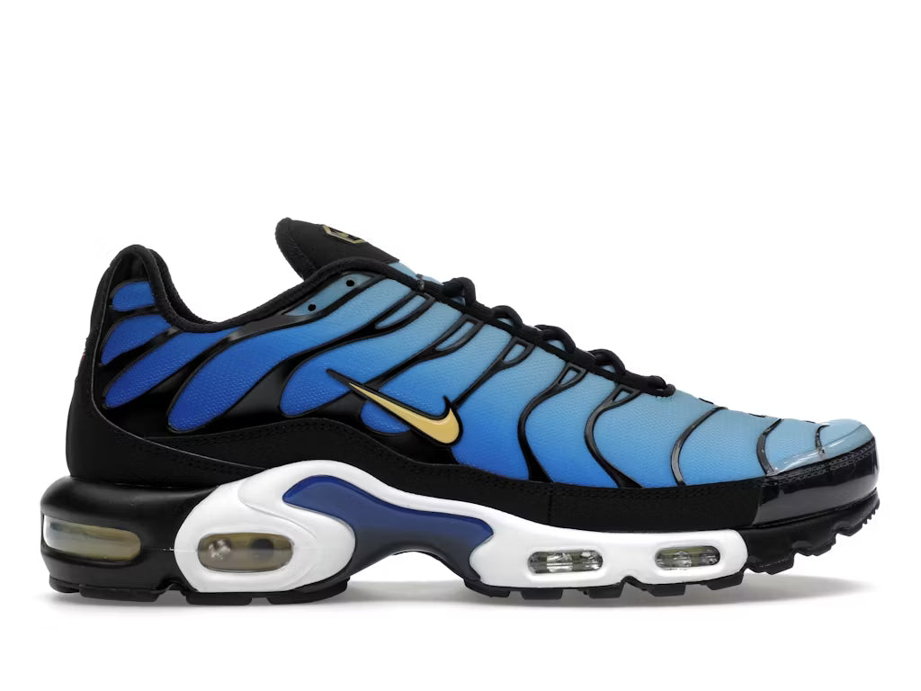 Nike Air Max Plus